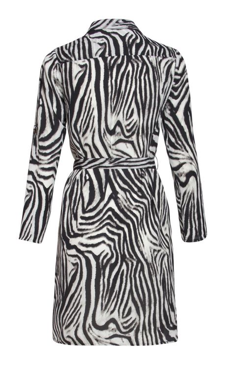Jurk met zebra print jurk-met-zebra-print-41_13