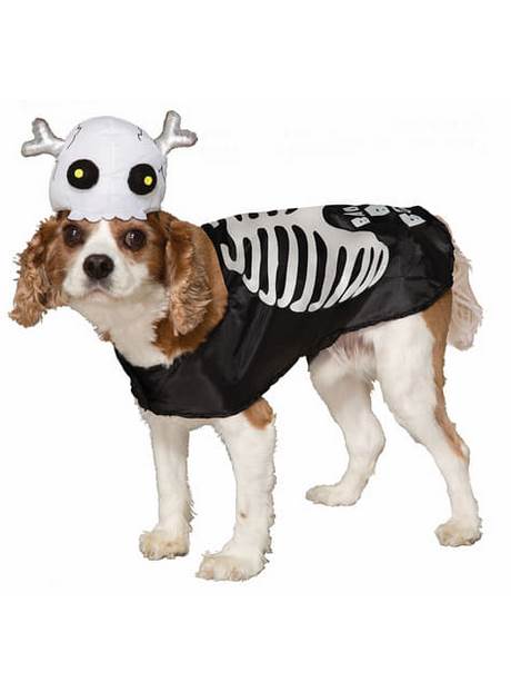 Halloween honden kostuum halloween-honden-kostuum-43_16