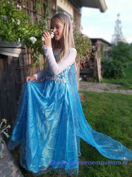Frozen elsa jurk frozen-elsa-jurk-42_9
