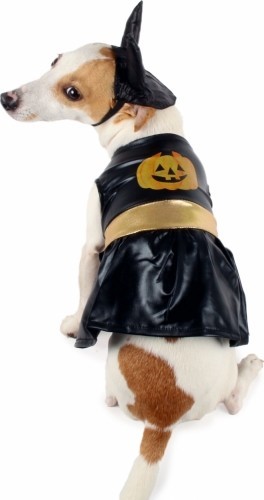 Halloween honden kostuum