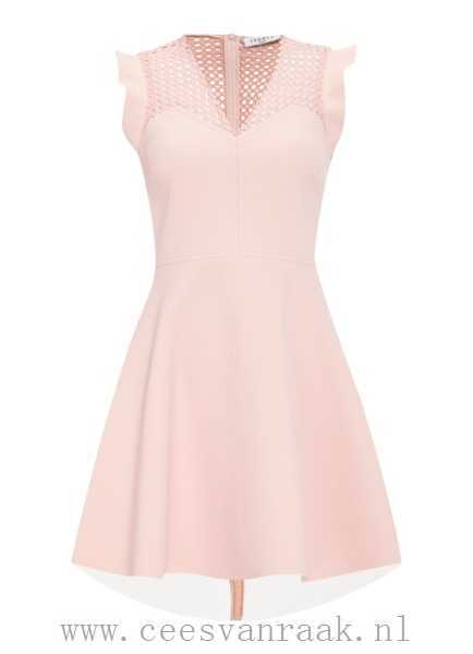 Roze a lijn jurk roze-a-lijn-jurk-21_6
